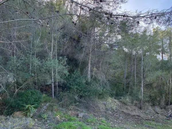 Terreno en rincon del silencio s/n photo 2