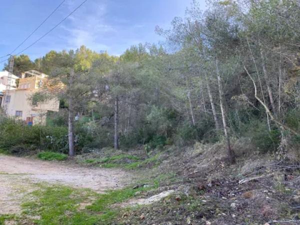 Terreno en rincon del silencio s/n photo 3