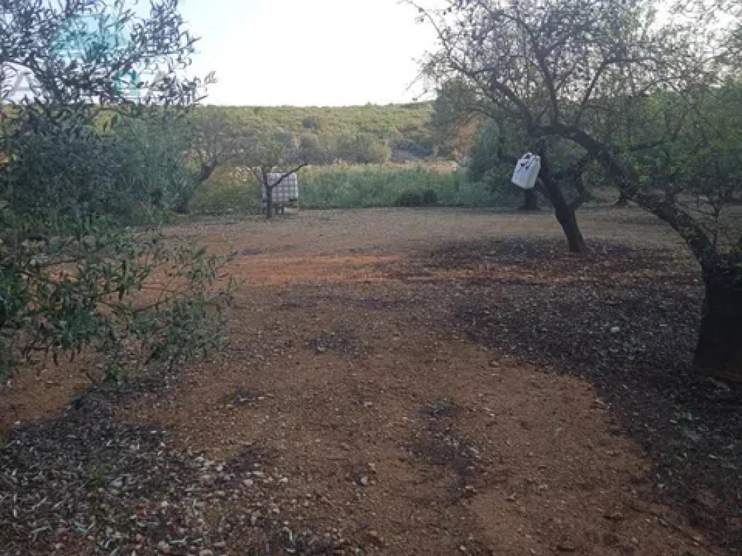 Działka na sprzedaż w Val de Gallinera, Alicante photo 2