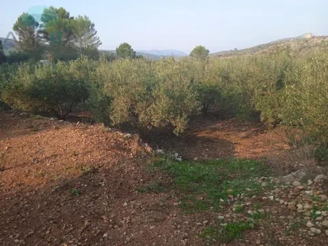 Działka na sprzedaż w Val de Gallinera, Alicante photo 4