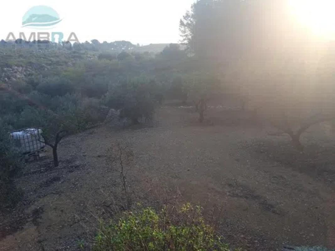 Działka na sprzedaż w Val de Gallinera, Alicante photo 5