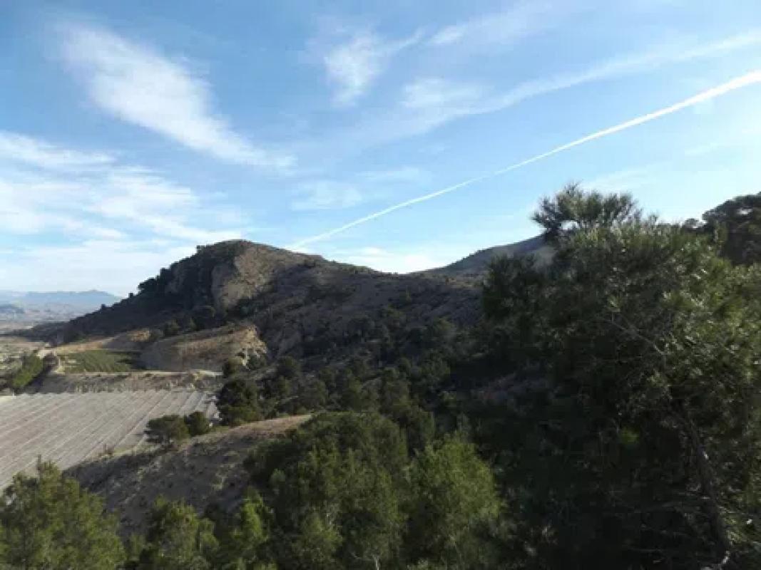 Land for sale in Monforte del Cid, Alicante photo 3