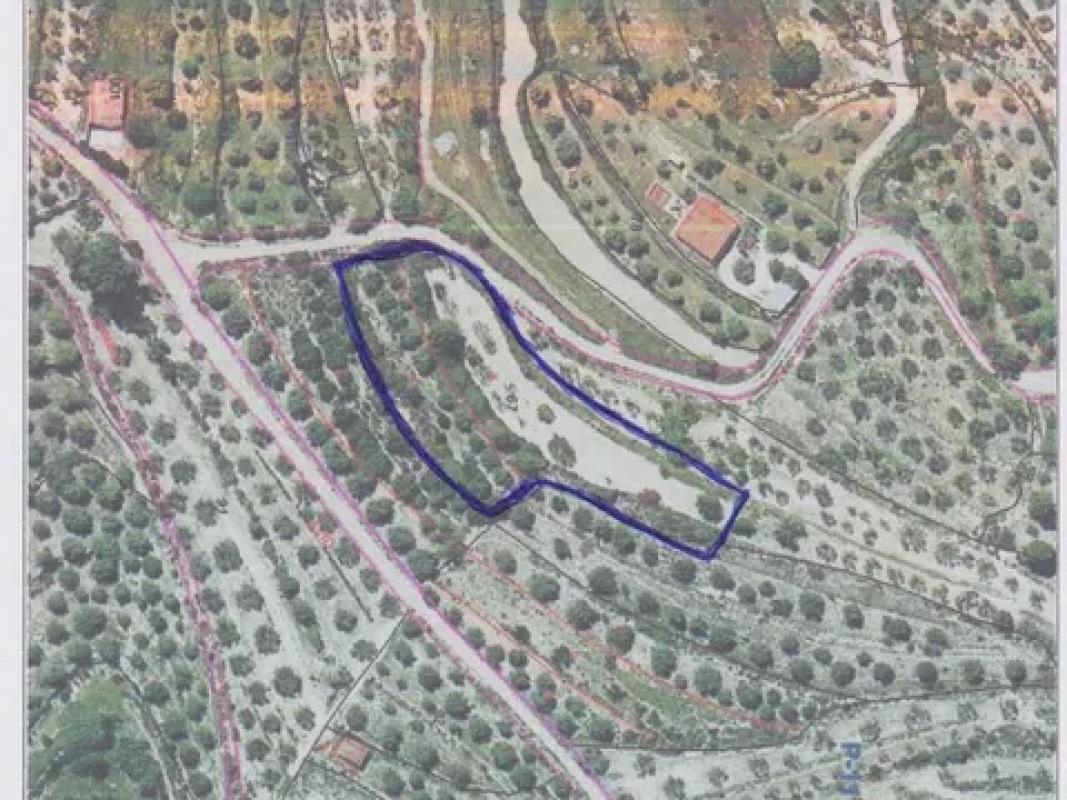 Terreno en venta en Alcocer de Planes, Alicante photo 2