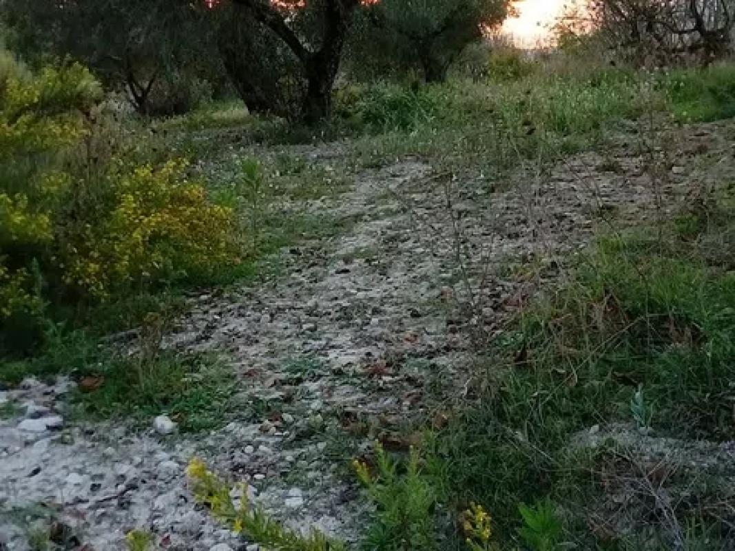 Terreno en venta en Alcocer de Planes, Alicante photo 4