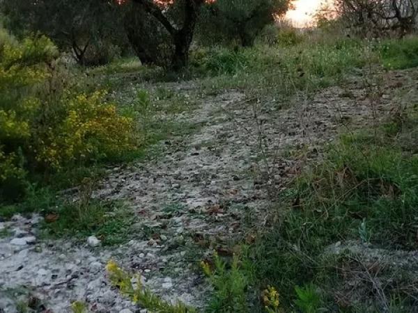 Terreno en camino Cv-700 s/n photo 4