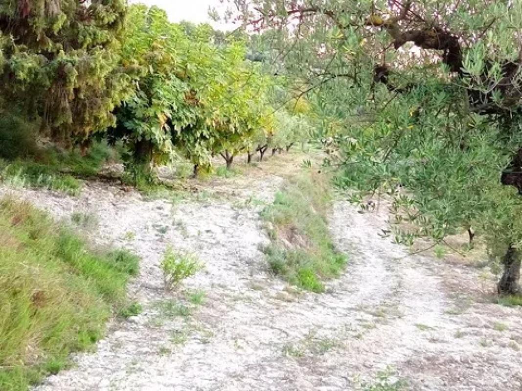 Terreno en venta en Alcocer de Planes, Alicante photo 5