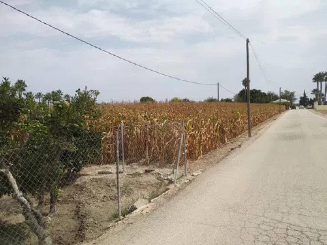 Terreno en venta en Dolores, Alicante photo 5