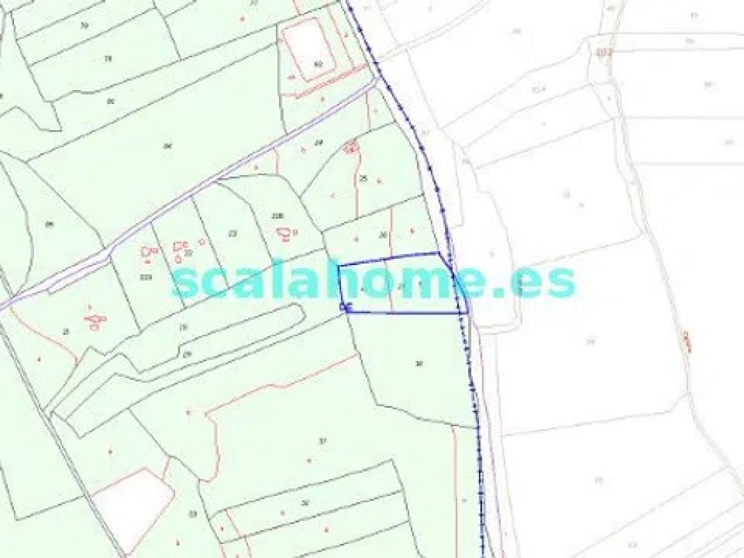Land for sale in Pinoso, Alicante plan 1