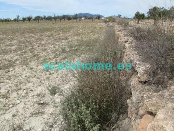 Terreno en Diseminado Ubeda, 25 s/n photo 1