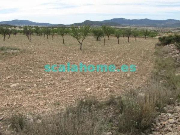 Terreno en Diseminado Ubeda, 25 s/n photo 4