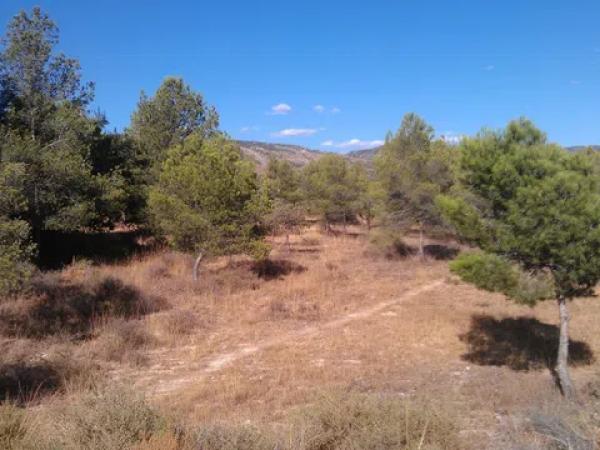 Terreno en via de Alicante, km 210 thumbnail 1