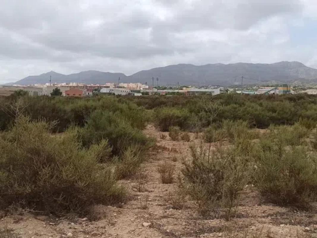 Terreno en venta en Crevillente, Alicante photo 3