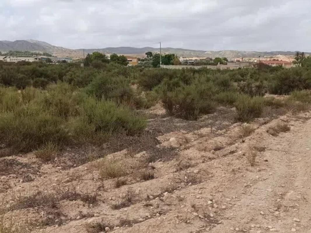 Terreno en venta en Crevillente, Alicante photo 4