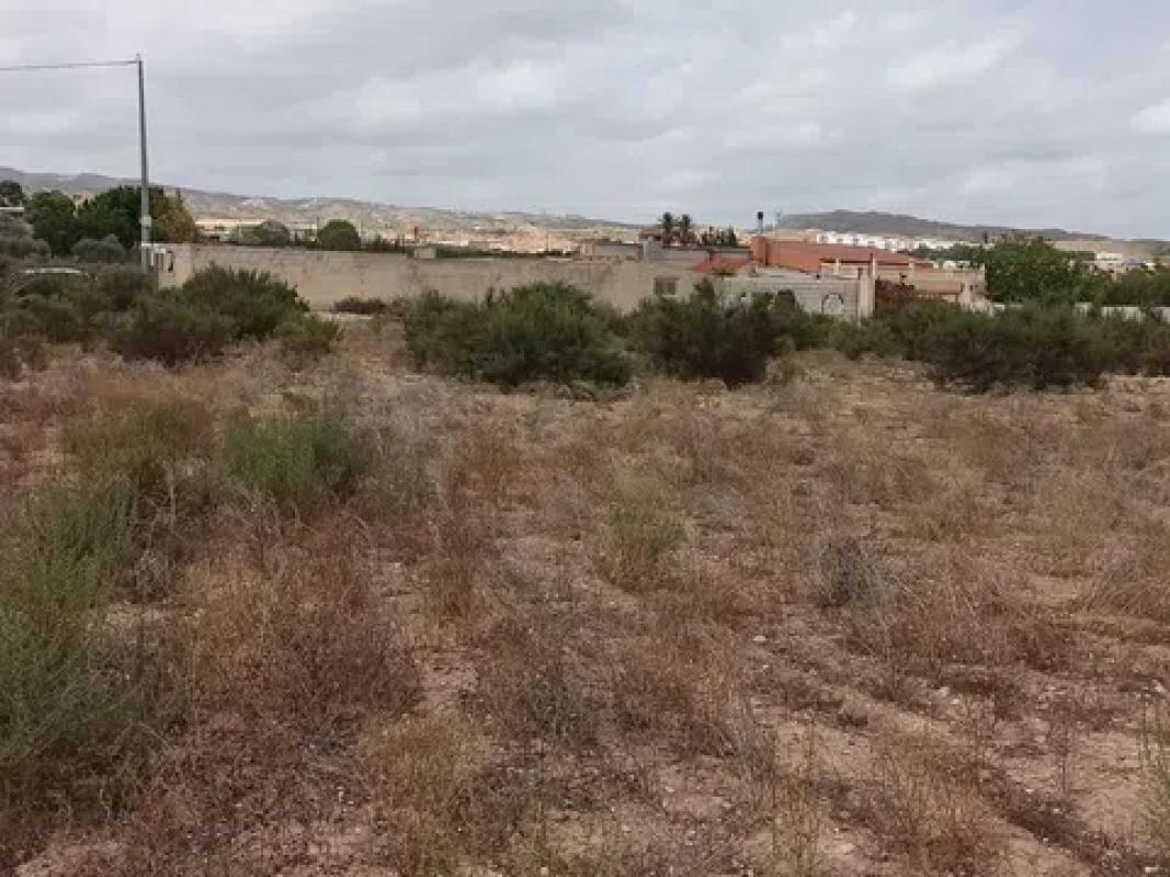 Terreno en venta en Crevillente, Alicante photo 5