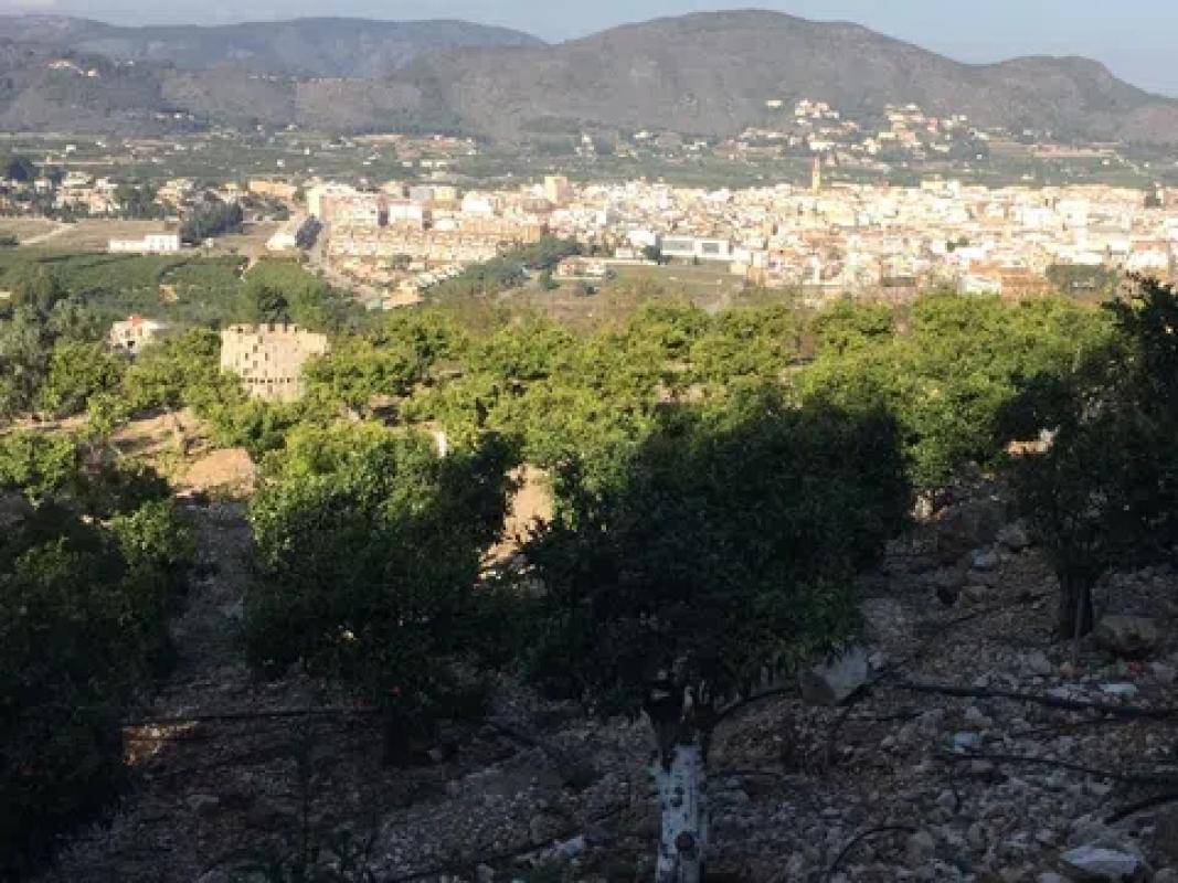 Terreno en venta en Pego, Alicante photo 2