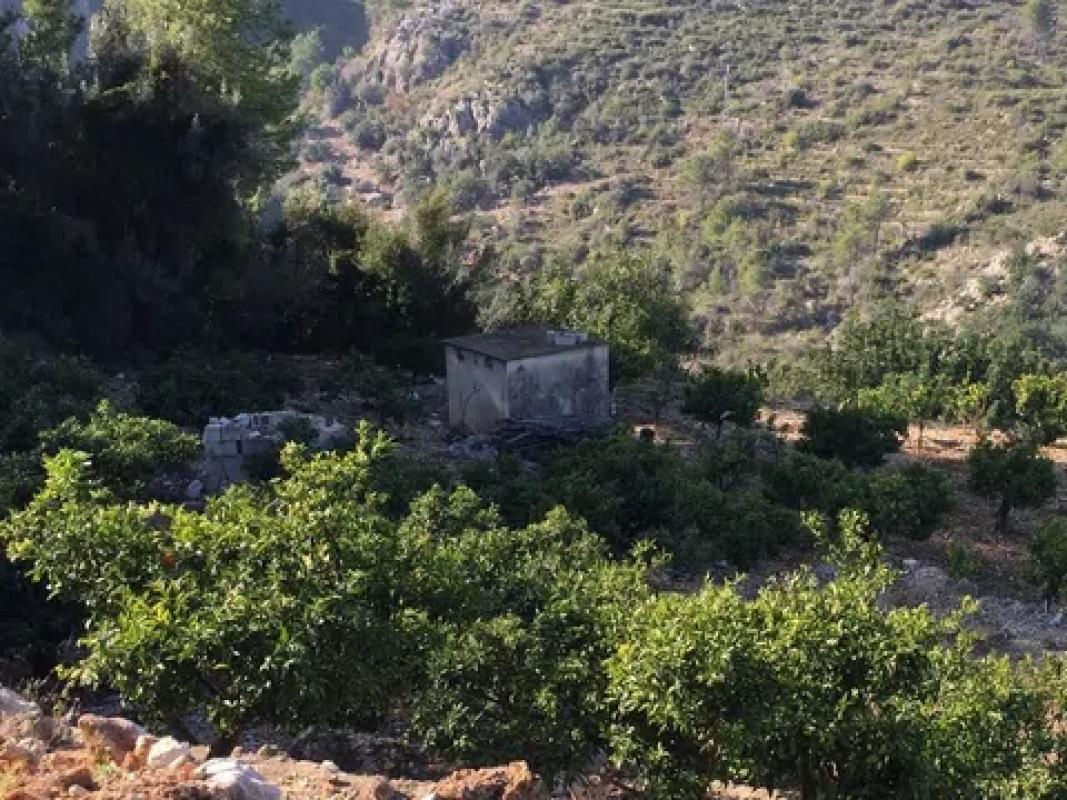 Terreno en venta en Pego, Alicante photo 3