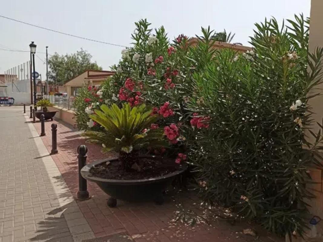 Terreno en venta en Hondón de los Frailes, Alicante photo 4