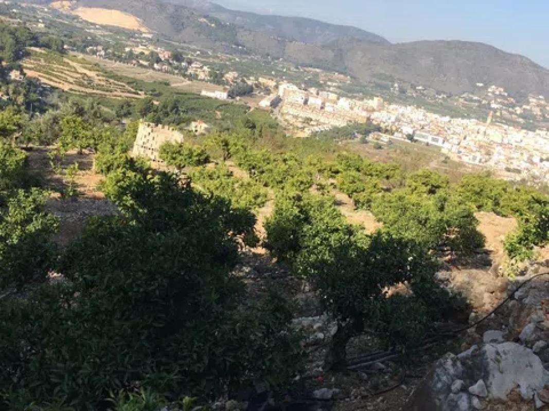 Terreno en venta en Pego, Alicante photo 5