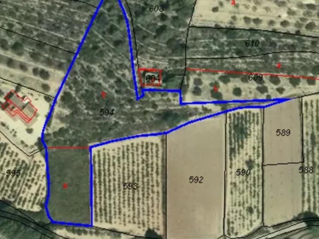 Land for sale in Llíber, Alicante photo 3