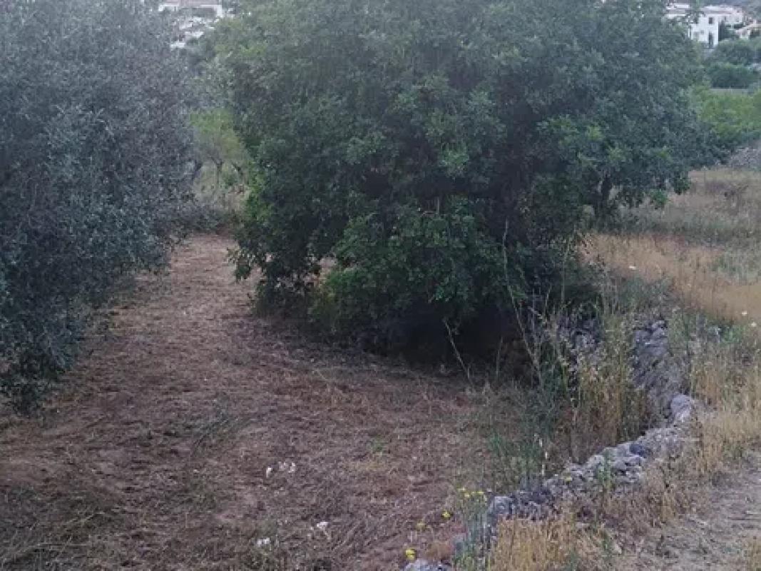 Terreno en venta en Alcalalí, Alicante photo 2