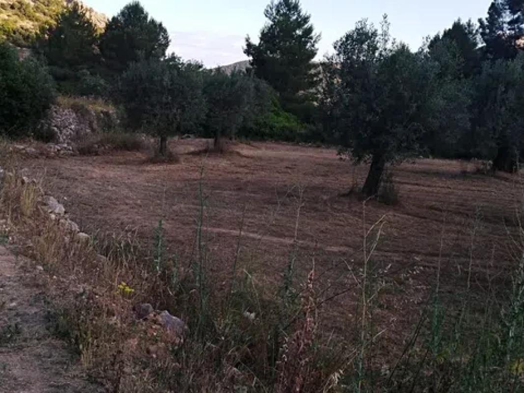 Terreno en venta en Alcalalí, Alicante photo 3