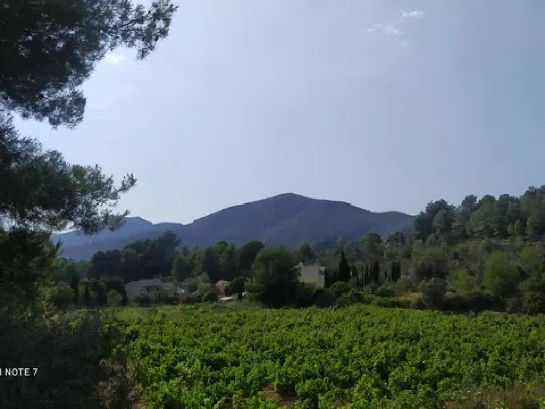 Land for sale in Llíber, Alicante photo 5