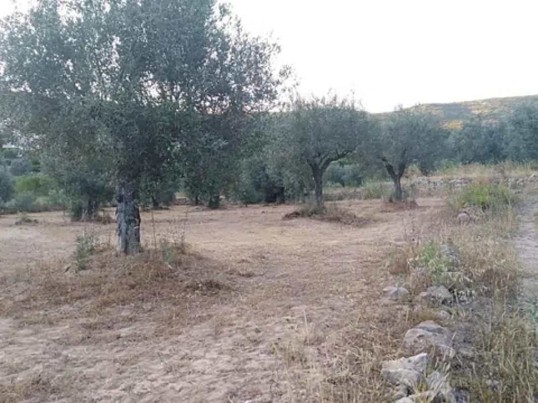 Terreno en venta en Alcalalí, Alicante photo 4