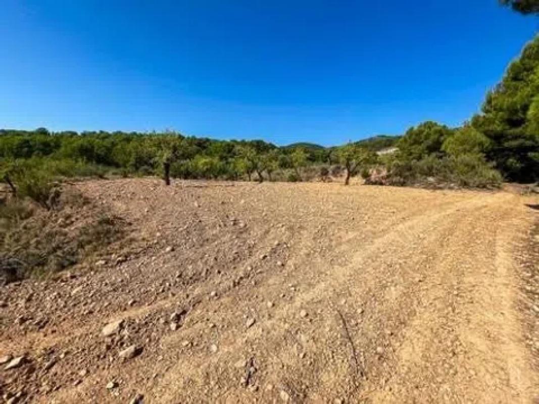 Land for sale in Biar, Alicante photo 5