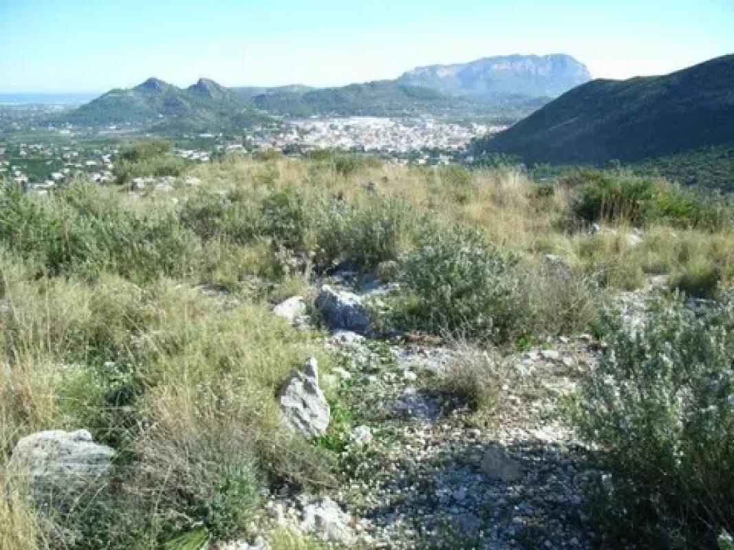 Działka na sprzedaż w Pedreguer, Alicante photo 1