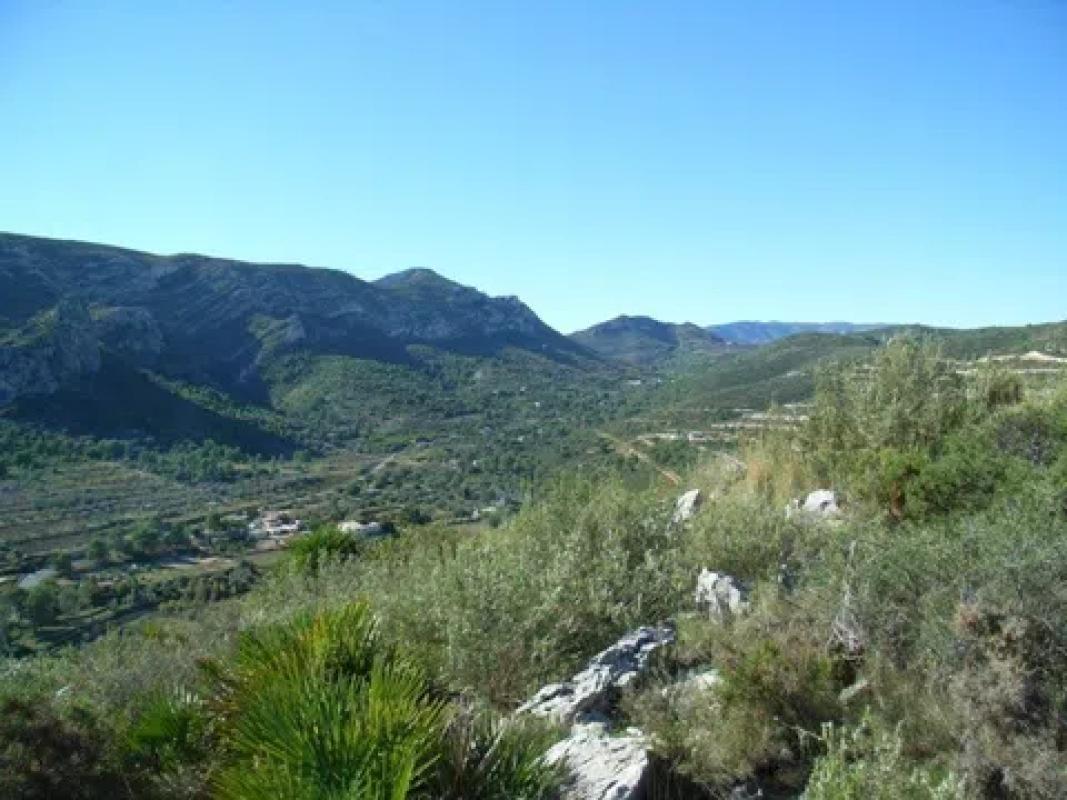 Działka na sprzedaż w Pedreguer, Alicante photo 5