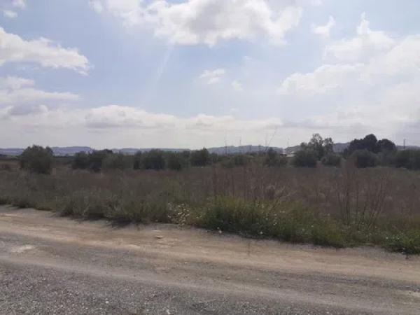 Terreno en camino viejo de novelda s/n photo 2