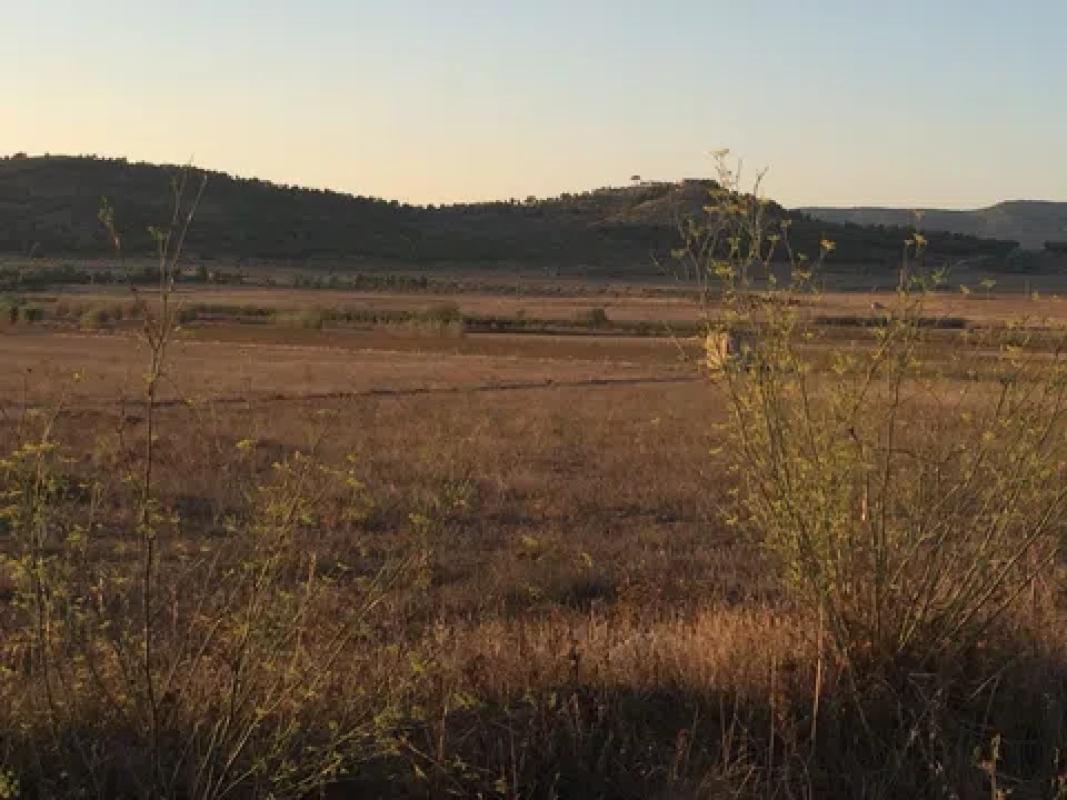 Terreno en venta en Biar, Alicante photo 1