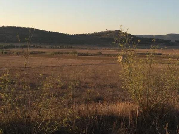 Terreno en Biar photo 1
