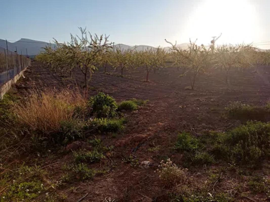 Działka na sprzedaż w Castalla, Alicante photo 1