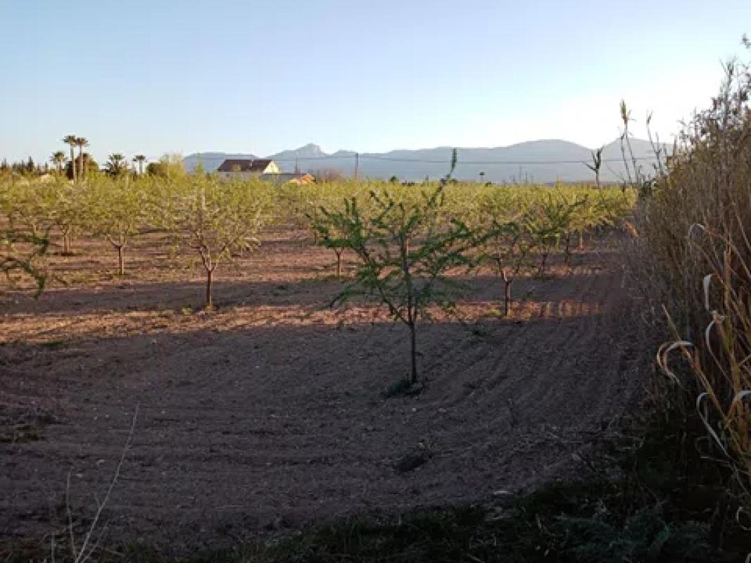 Działka na sprzedaż w Castalla, Alicante photo 2