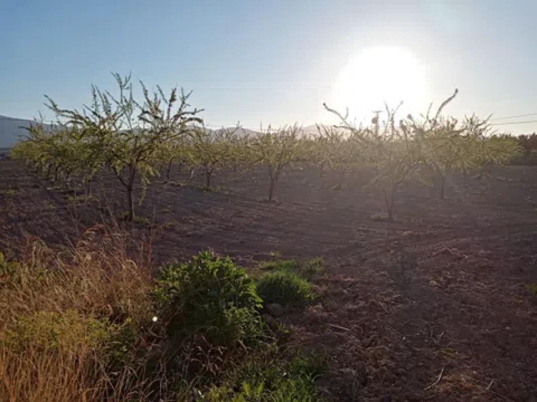 Działka na sprzedaż w Castalla, Alicante photo 5