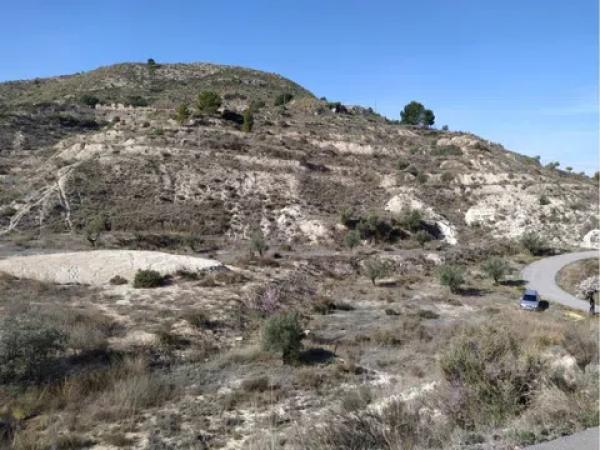Terreno en Petrer photo 1