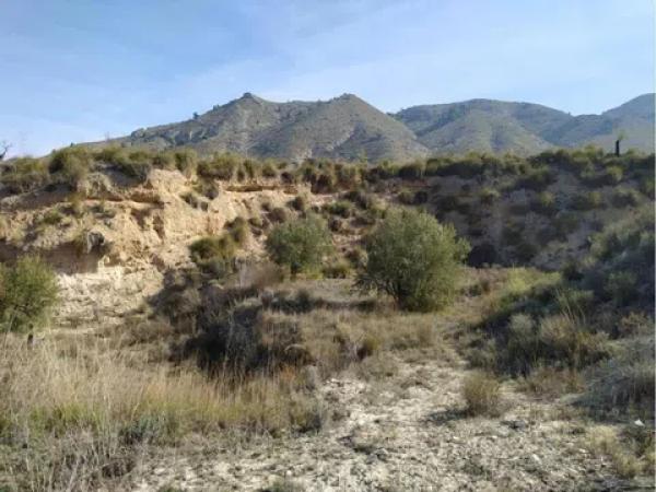 Terreno en Petrer photo 2