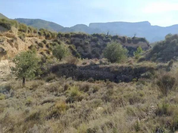 Terreno en Petrer photo 3