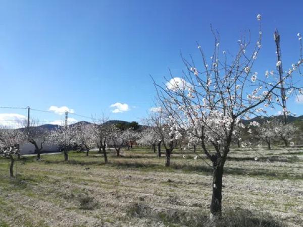 Terreno en calle Don Juan Carlos I, 1 CLDonJuanCarlosIsuelo photo 1