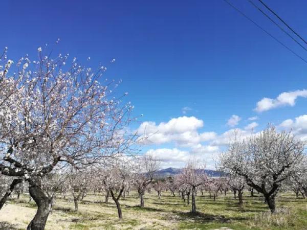 Terreno en calle Don Juan Carlos I, 1 CLDonJuanCarlosIsuelo photo 2