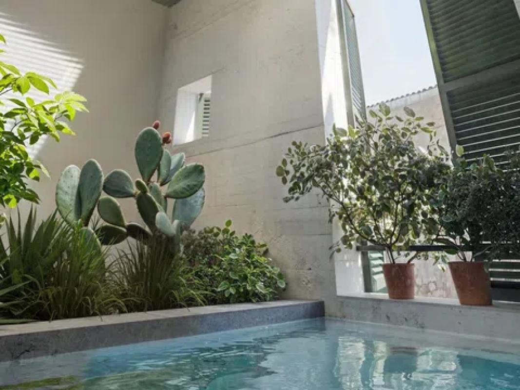 Obra nueva JARDINES DE VALLDEMOSSA en Valldemossa (Revista) photo 1