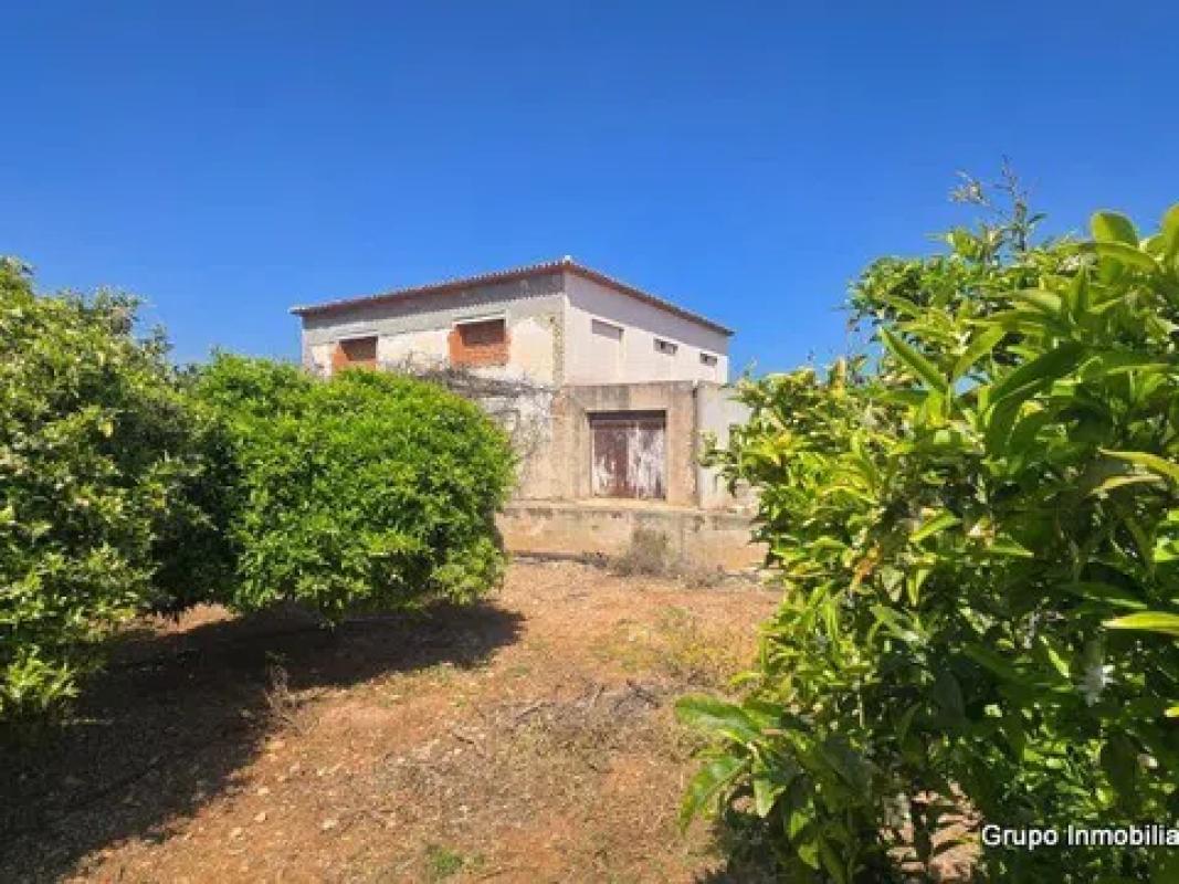 Properties for sale and rent in Spain photo 2