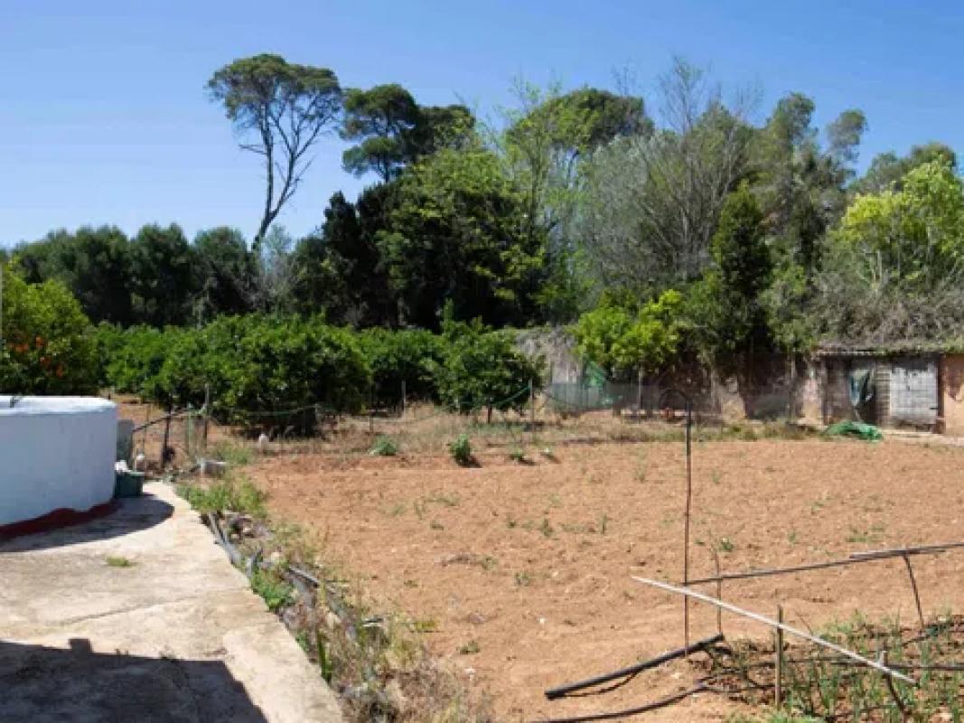 Propiedades en venta y alquiler en España photo 3