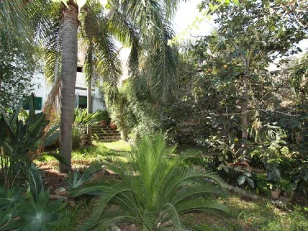 Casa independiente thumbnail 2