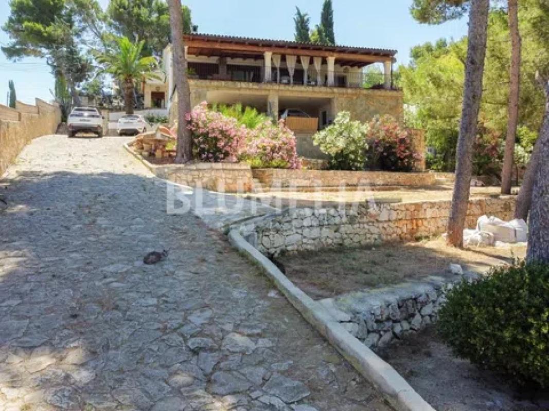 Propiedades en venta y alquiler en España photo 2