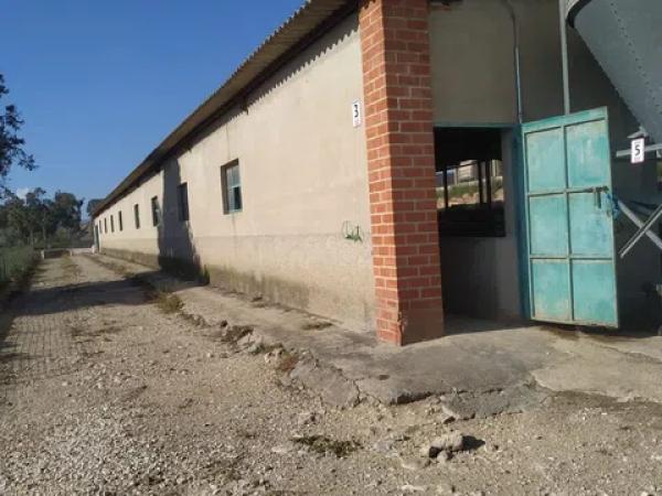 Casa independiente en calle hermes photo 1