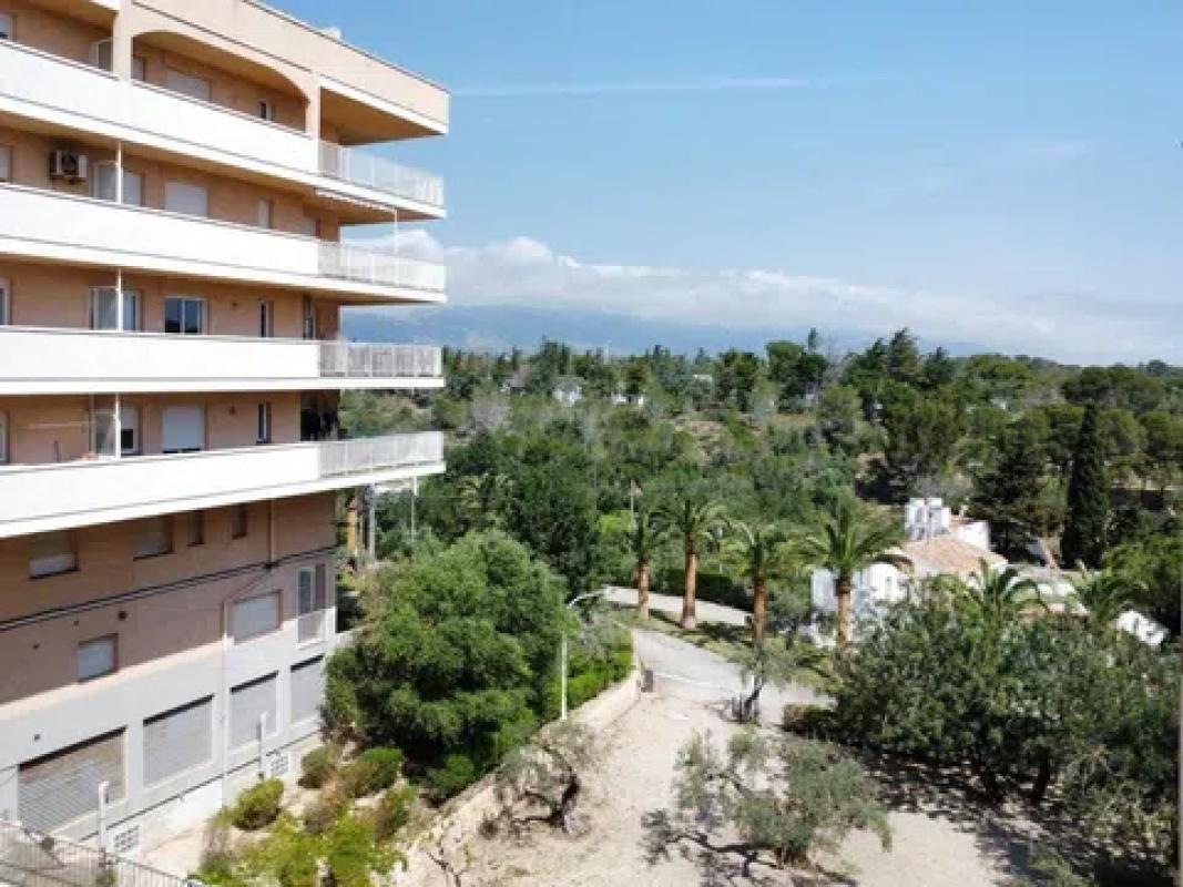 Obra nueva Cala de L'Ametlla de Mar en L'Ametlla de Mar (Revista) photo 2