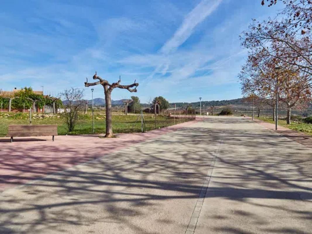 Obra nueva Pau Casals en Rodonyá (Revista) photo 3