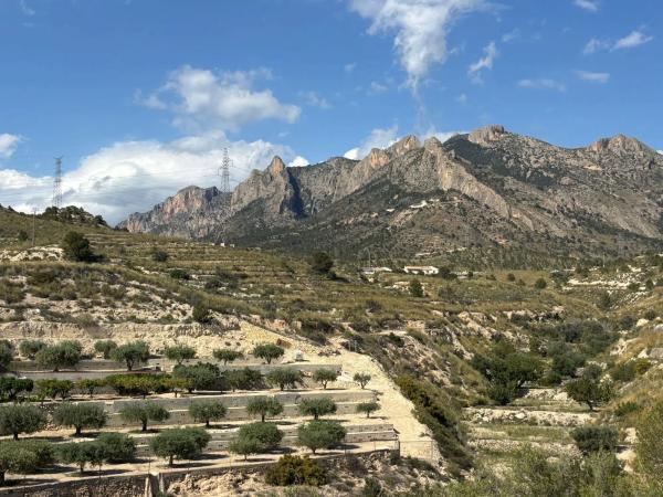 Terreno en Pla de la Gralla photo 1